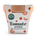 Radis et Capucine - Kit Tomate Cerise Bio - Pot en Terre Cuite - 13 cm - face recto
